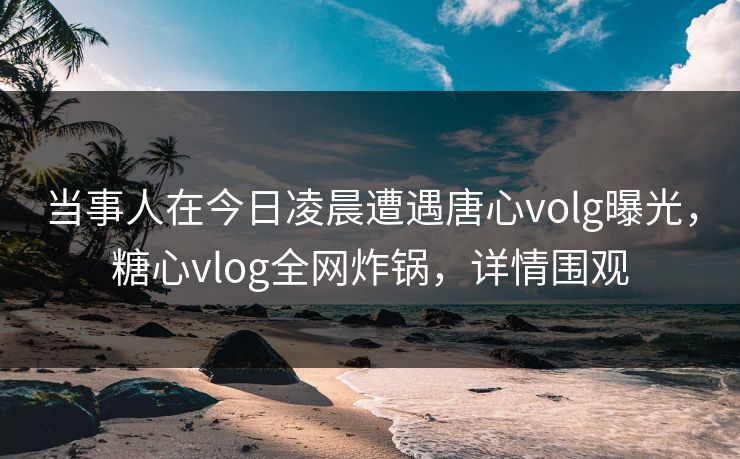 当事人在今日凌晨遭遇唐心volg曝光，糖心vlog全网炸锅，详情围观