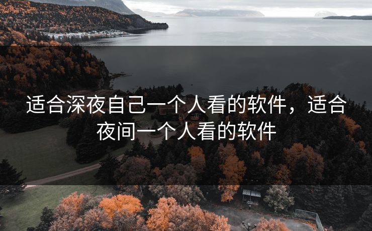 适合深夜自己一个人看的软件，适合夜间一个人看的软件