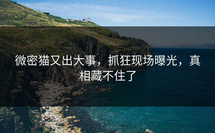 微密猫又出大事，抓狂现场曝光，真相藏不住了