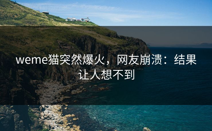 weme猫突然爆火，网友崩溃：结果让人想不到