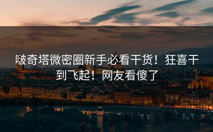 啵奇塔微密圈新手必看干货！狂喜干到飞起！网友看傻了