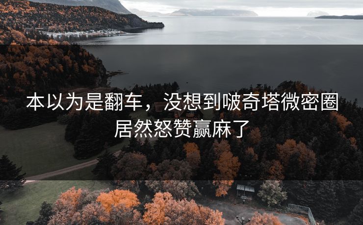 本以为是翻车，没想到啵奇塔微密圈居然怒赞赢麻了