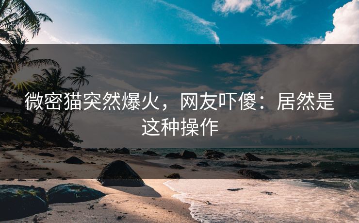 微密猫突然爆火，网友吓傻：居然是这种操作