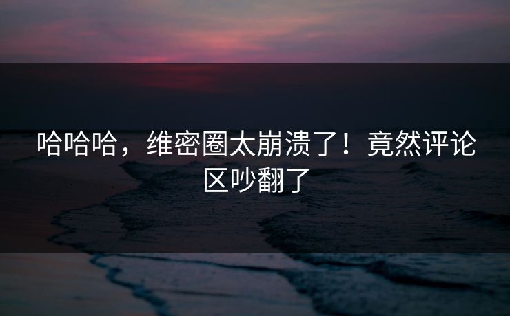 哈哈哈，维密圈太崩溃了！竟然评论区吵翻了