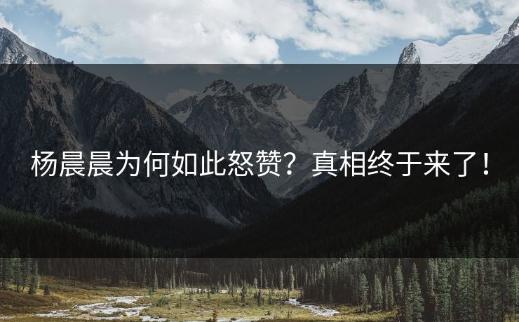 杨晨晨为何如此怒赞？真相终于来了！