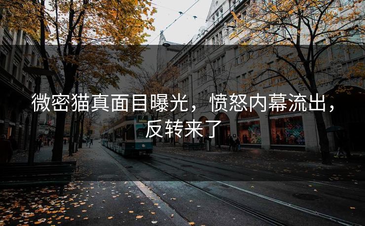 微密猫真面目曝光，愤怒内幕流出，反转来了