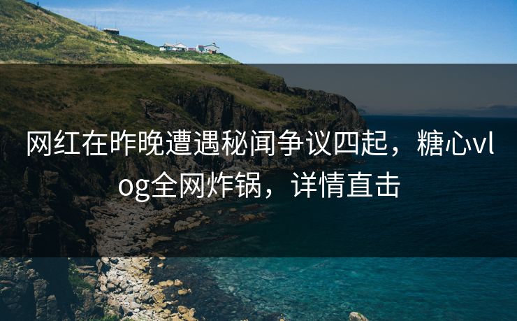 网红在昨晚遭遇秘闻争议四起，糖心vlog全网炸锅，详情直击